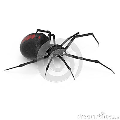 Black Widow Spider 3D Illustration Isolated On White Background Stock Photo