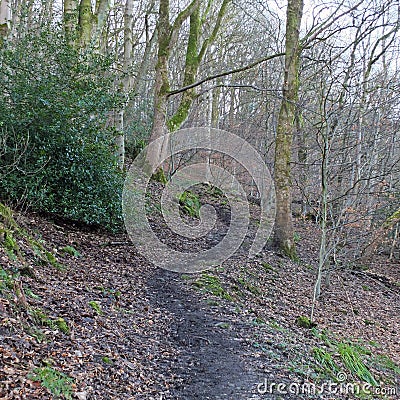 Black winding winter forest pathway on a hillside in winter Stock Photo