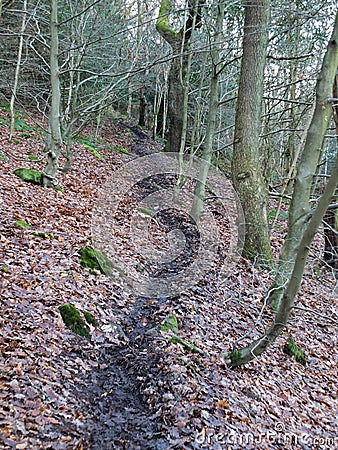 Black winding winter forest pathway on a hillside in dark winter Stock Photo