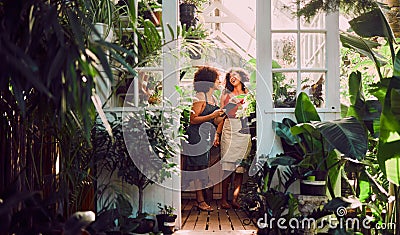 Black women, tablet or laughing in plant shop, garden center or greenhouse in growth management, stock check or nature Stock Photo