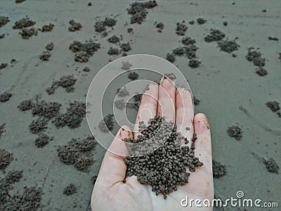 worm castings Stock Photo