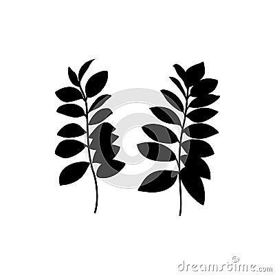 Black zamia Leaf Silhouette isolated on white background. Vector Illustration Vector Illustration