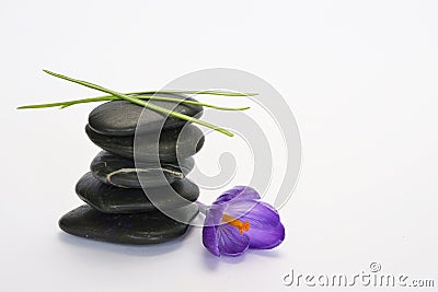 Black zen stones with bamboo en crocus on empty white background Stock Photo