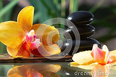 Black zen stones and yellow orchids on a wooden plank on the surface of the water. SPA, relaxation, meditation concept Stock Photo