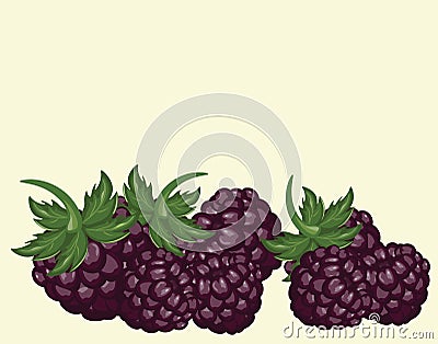 Blackberries delicious dessert background Cartoon Illustration