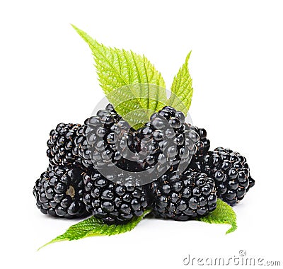 Blackberries with green leaves isolated on white background. Stock Photo