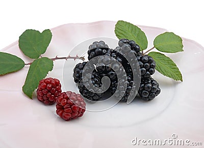 Blackberries and leaves Stock Photo