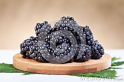 Blackberries on wooden plate Stock Photo