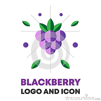 Blackberry, berry vector. Blackberry, berry icon, logo design for brand, food, cosmetic package. Flat blackberry icon Vector Illustration