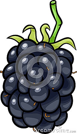 Blackberry fruit cartoon illustration Vector Illustration