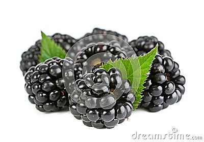 Blackberry fruit Stock Photo