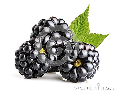 Blackberry fruit Stock Photo