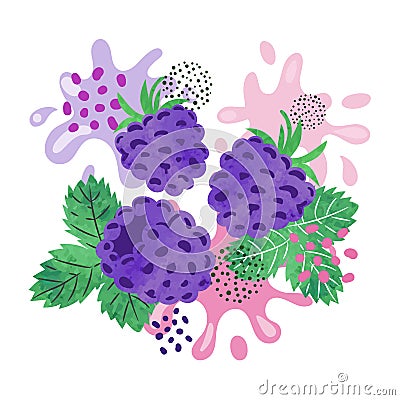 Blackberry juice vector illustration. Abstract watercolor juicy splash Vector Illustration