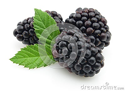Blackberry with leaves Stock Photo