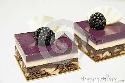Blackberry mini cake with chocolate brownie Stock Photo