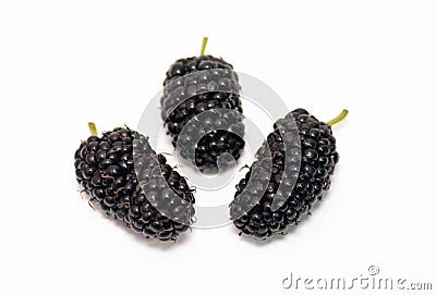 Mulberry in white background Stock Photo