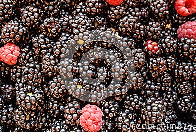 Blackberry and raspberry fruit background Stock Photo