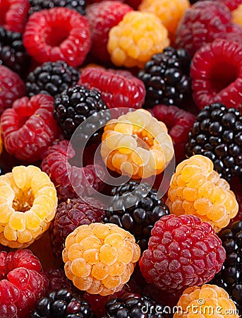 Blackberry and raspberry fruit Stock Photo