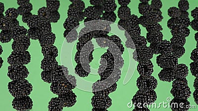 fruity loops price fruity loops price