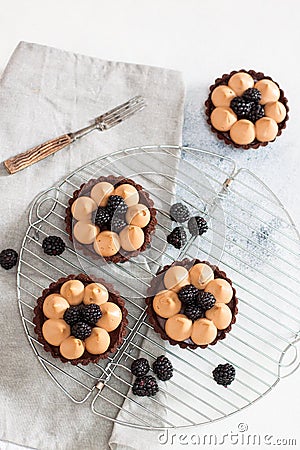 Blackberry tarts with whipped cream and chocolate filling on metal cooling rack. Grey background Stock Photo