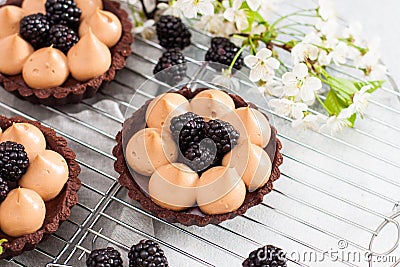 Blackberry tarts with whipped cream and chocolate filling on metal cooling rack. Grey background Stock Photo