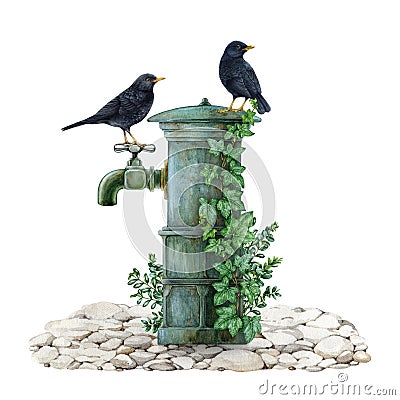 Blackbird couple on a garden water tap. Watercolor painted illustration. Hand drawn garden image with birds. Blackbirds Cartoon Illustration