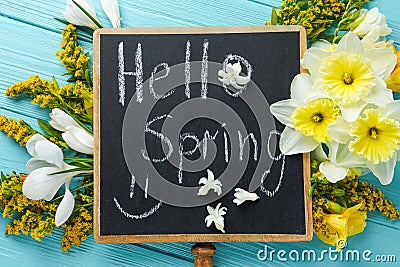 Blackboard with words HELLO SPRING and fresh flowers on light blue wooden table, flat lay Stock Photo