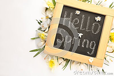 Blackboard with words HELLO SPRING and fresh flowers on white background, flat lay Stock Photo