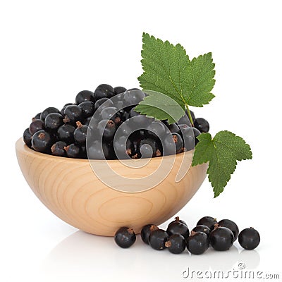 Blackcurrant Fruit Stock Photo