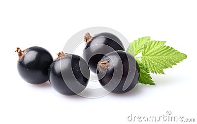 Blackcurrant with leaf Stock Photo