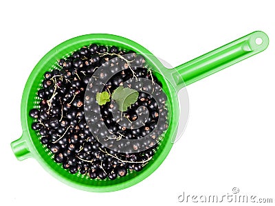 Blackcurrants in collander isolated over white Stock Photo