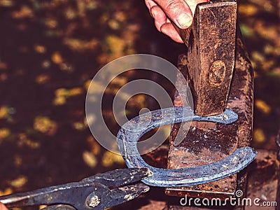 Blacksmith holds horseshoe in pliers and trash it with hammer Stock Photo