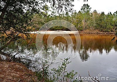 Blackwater River State Park in Florida Stock Photo