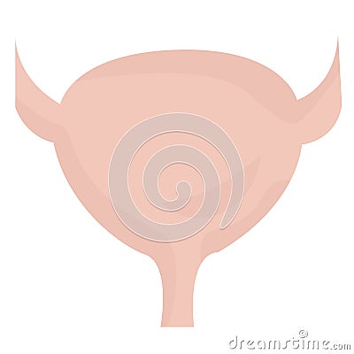 Bladder Vector Illustration