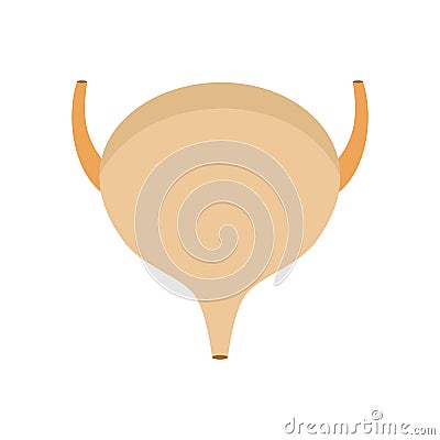 Bladder icon, flat style Vector Illustration