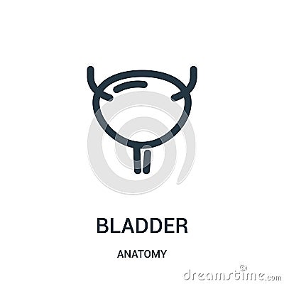 bladder icon vector from anatomy collection. Thin line bladder outline icon vector illustration. Linear symbol for use on web and Vector Illustration