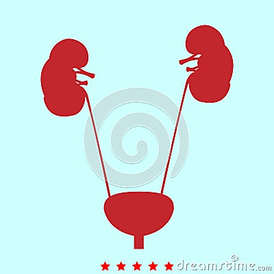Bladder and kidney it is color icon . Vector Illustration