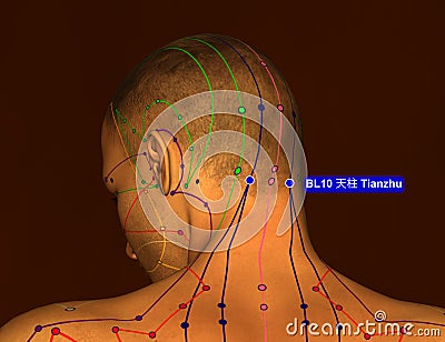 Acupuncture Point BL10 Tianzhu, 3D Illustration, Brown Background Stock Photo