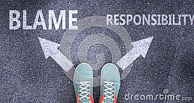 Blame and responsibility as different choices in life - pictured as words Blame, responsibility on a road to symbolize making Cartoon Illustration