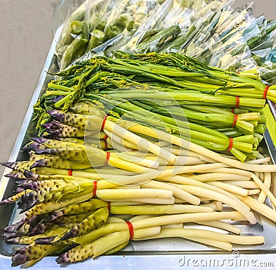 Blanched Siam Tulip Cucuma Sparganifolia, Cucumber and Chinese Flowering Cabbage Bog Choy Stock Photo