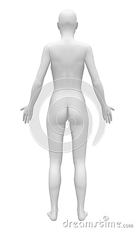 Blank Anatomy Female Figure - Back view Stock Photo