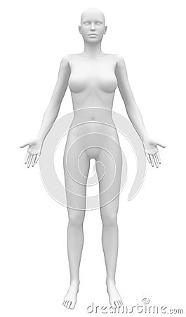 Blank Anatomy Female Figure - Front view Stock Photo