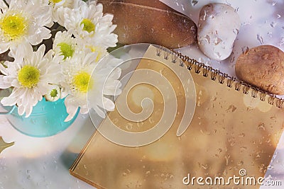 Blank area note book or diary with flower and pebble and water d Stock Photo
