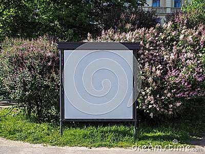 Blank billboard for outdoor advertisement on the spring branch of blossoming lilac background Stock Photo