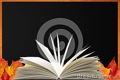 Blank blackboard, openned book and autumn maple leaves Stock Photo