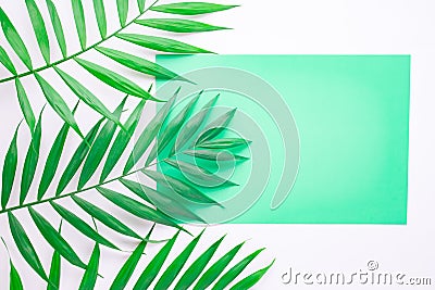 Blank blue card on tropical palm leaves, summer vacation concept, template layout for adding your design or text. Aquamarine Stock Photo