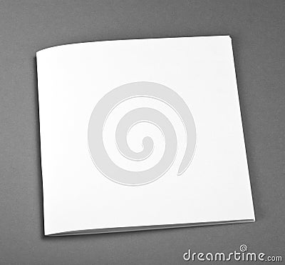 Blank Brochure magazine on grey to replace your design. Stock Photo