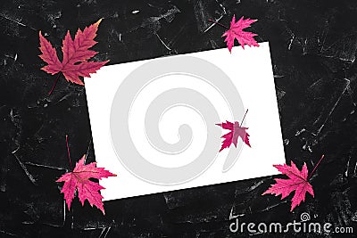 Blank card mockup with purple maple leaves. Minimalistic autumn stationery still life. Top view, flat lay Stock Photo