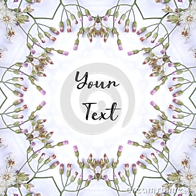 blank frame wild natural flowers. Spring Flower Frame. Flower frame isolated. copyspace, wildflower bouquet Stock Photo