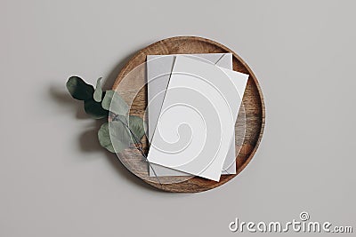 Blank greeting card, invitation and envelope mockup. Wooden plate, tray. Beige table background with dry eucalyptus Stock Photo